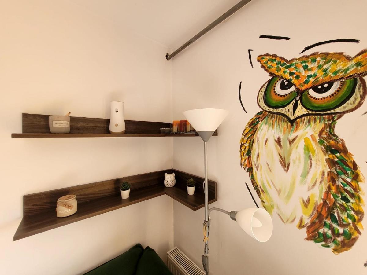 Dds Apartment Brasov Ngoại thất bức ảnh