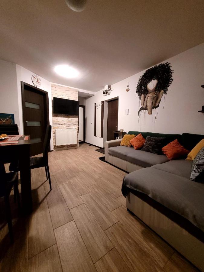 Dds Apartment Brasov Ngoại thất bức ảnh